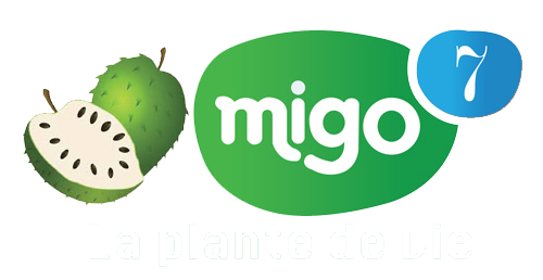 logo-migo7